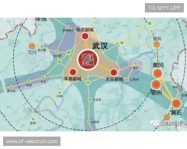以武汉体育学院为核心探寻区域体育文化协同发展路径研究与实践